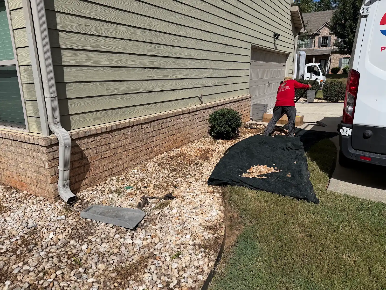 Yard before seasonal clean up