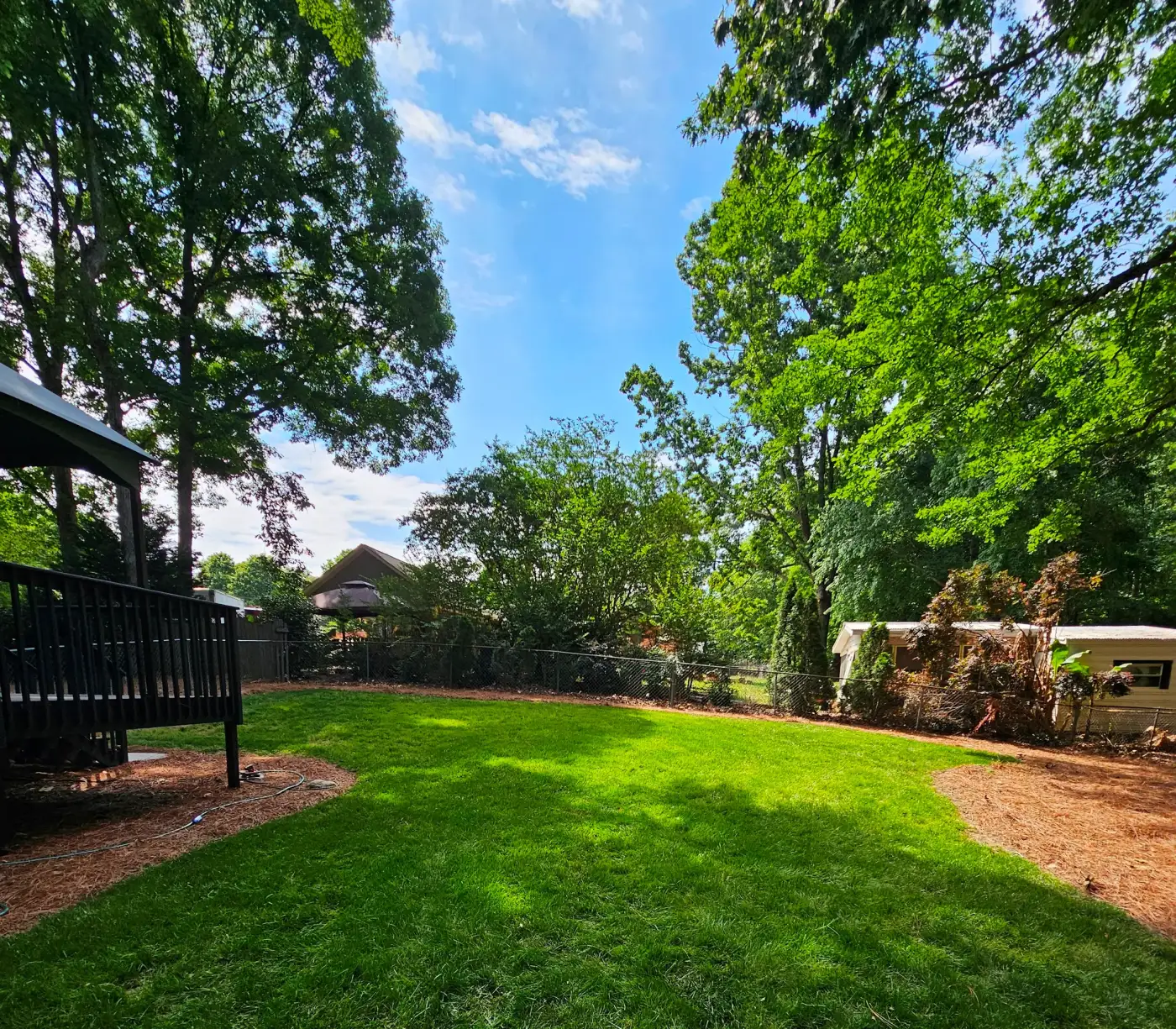 Yard after grass conversion and landscaping by E&S