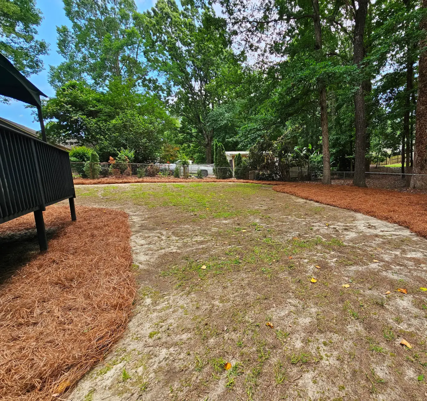 Yard before grass conversion and landscaping