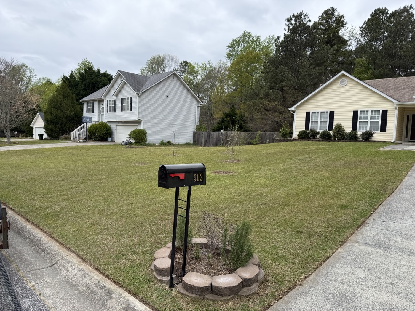 Driveway edge after edging service