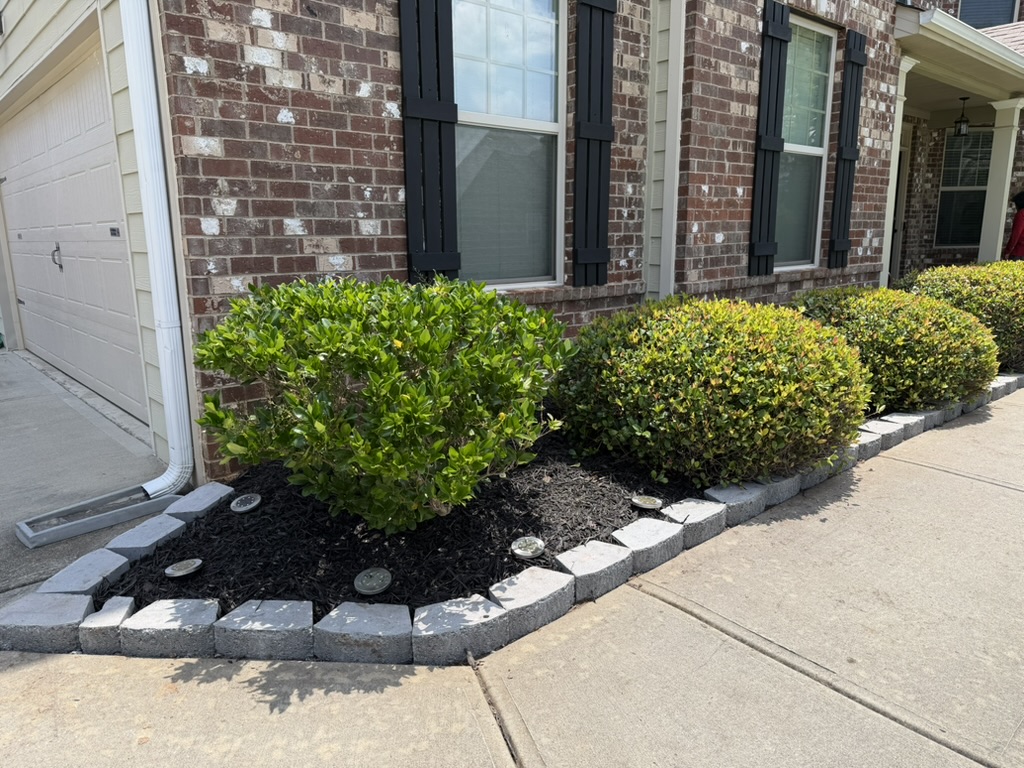 Hardscape area after professional edging installation