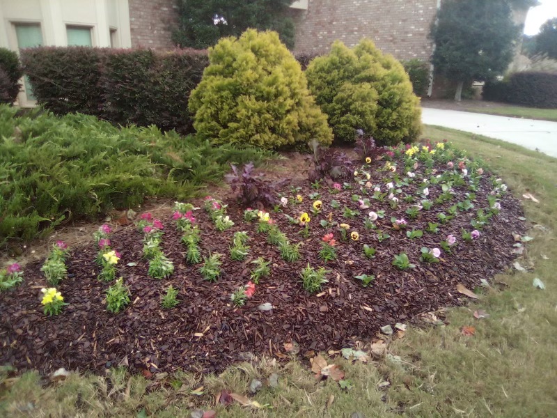 Flowerbed Maintenance