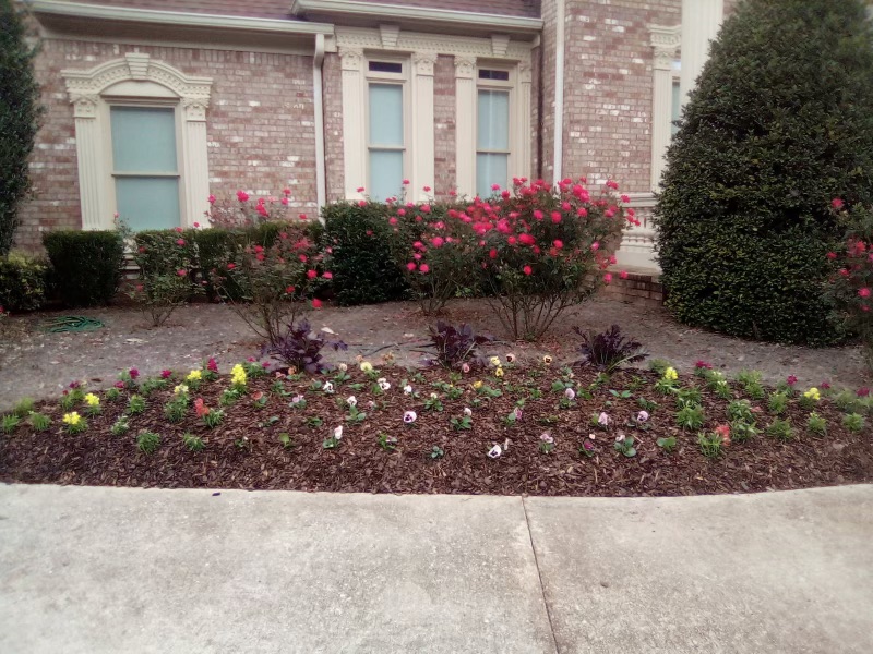 Flowerbed Landscaping