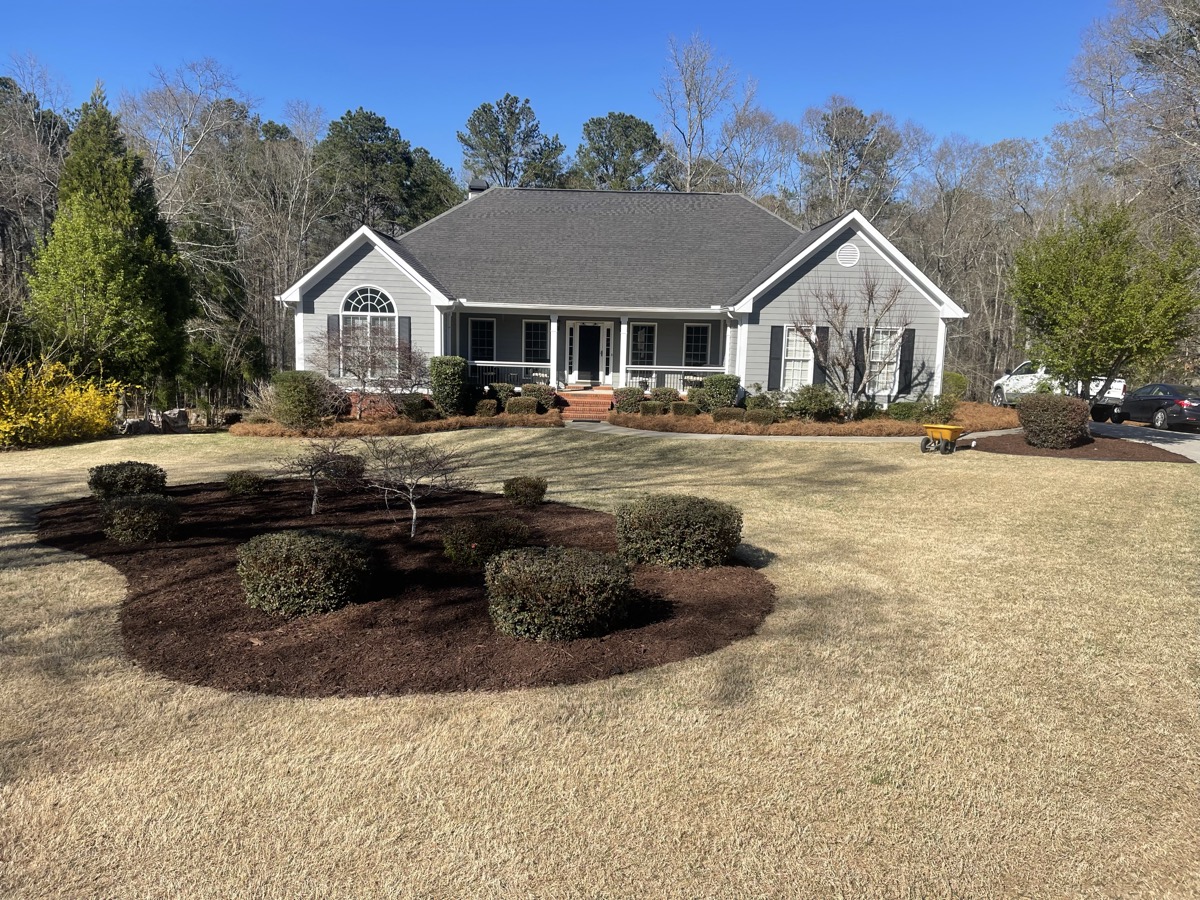 Shrub pruning and mulch