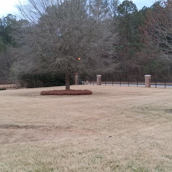 Landscape bed after pine straw installation