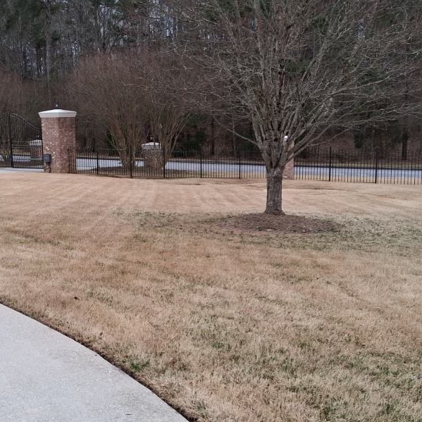 Landscape bed before pine straw installation