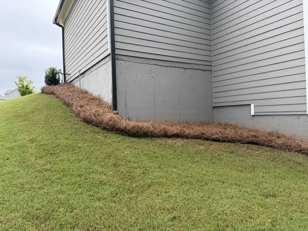 Yard after pine straw coverage