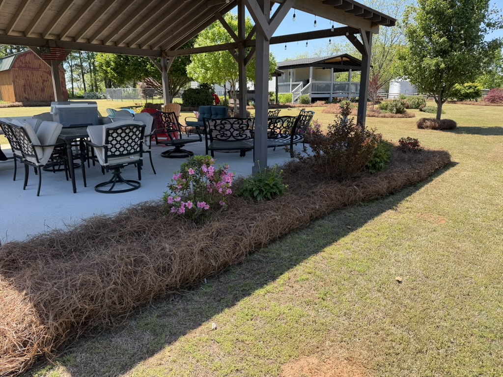 Landscape Planting