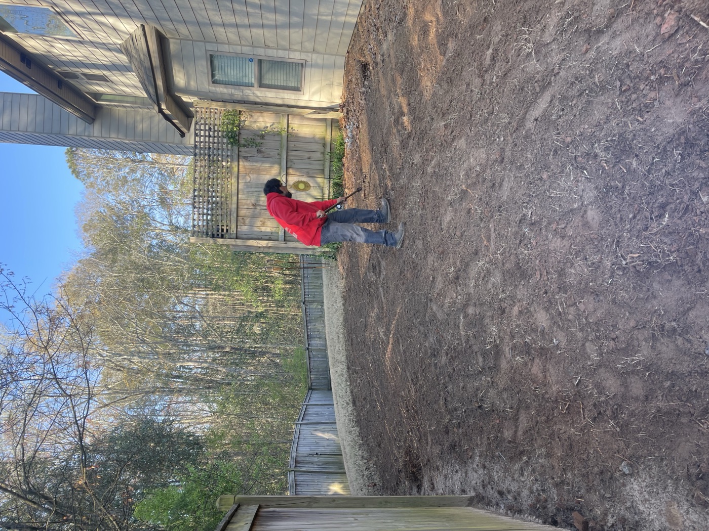 Yard cleanup and raking