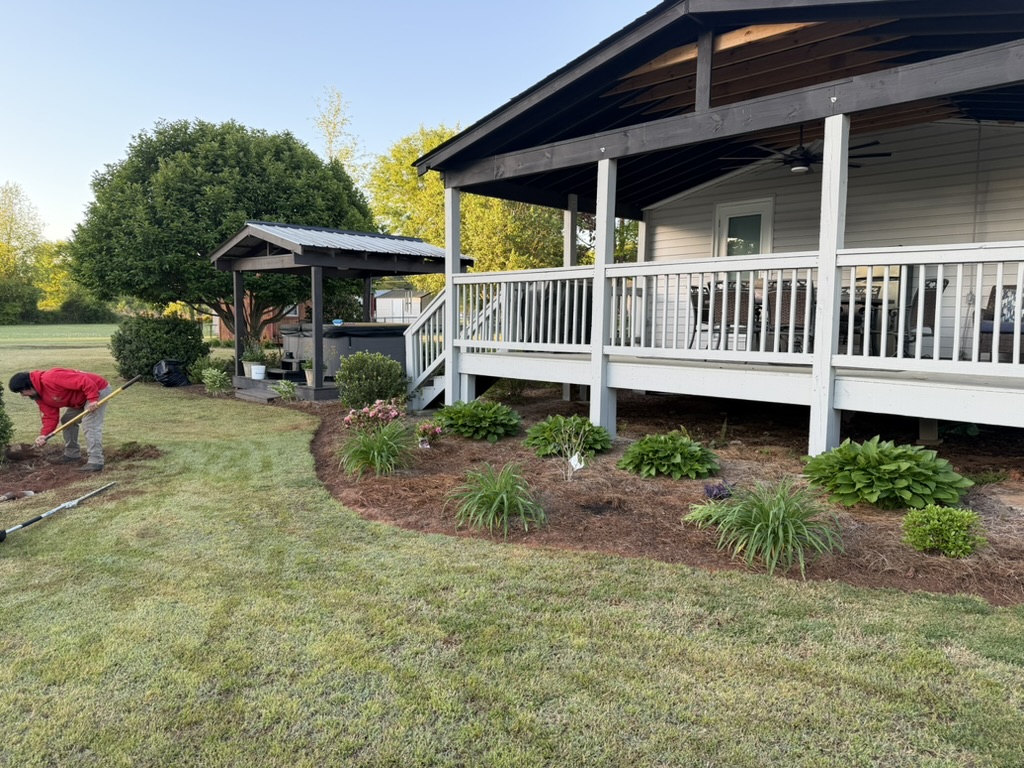 Yard Maintenance