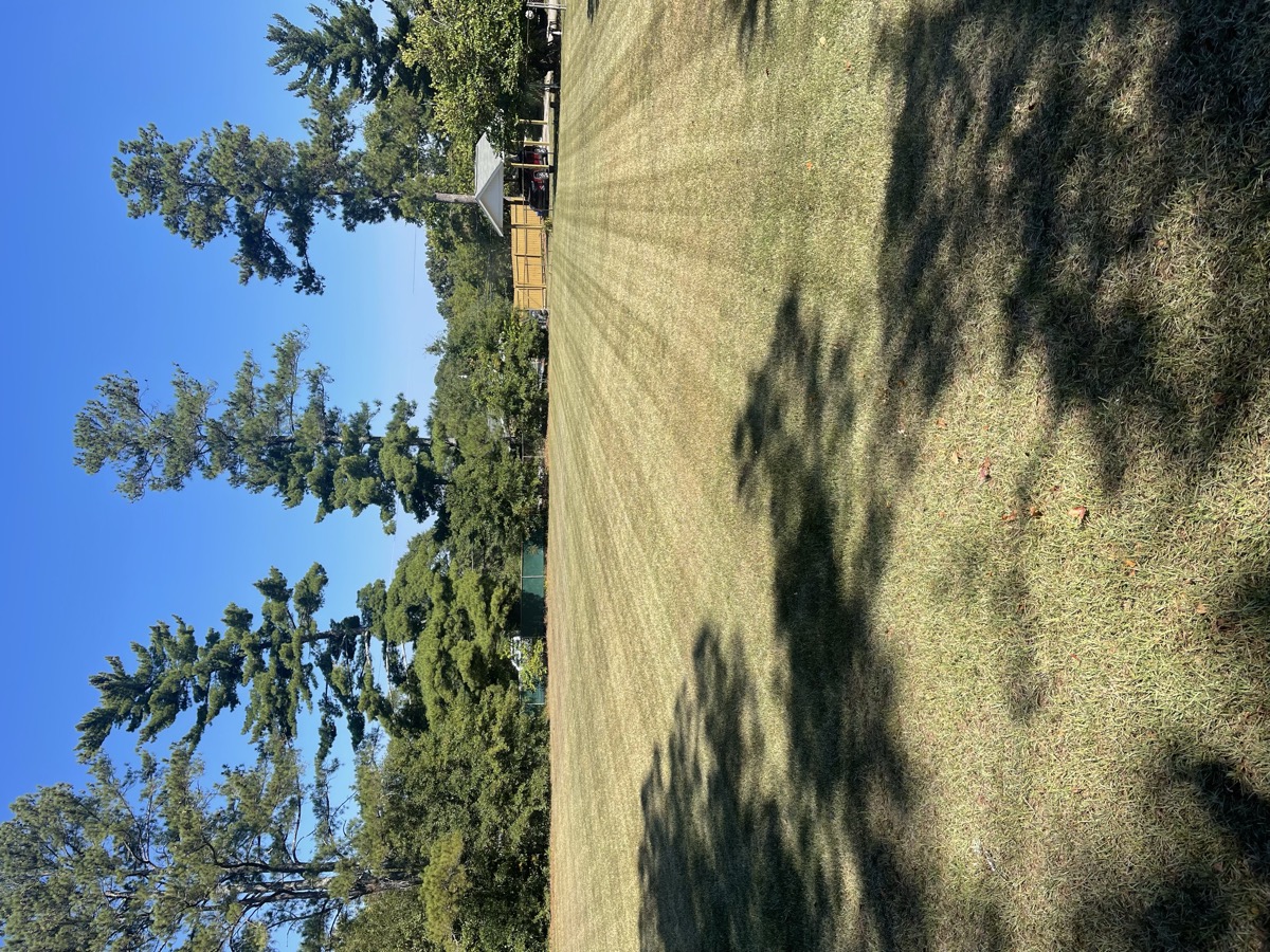 Residential Yard Mowing
