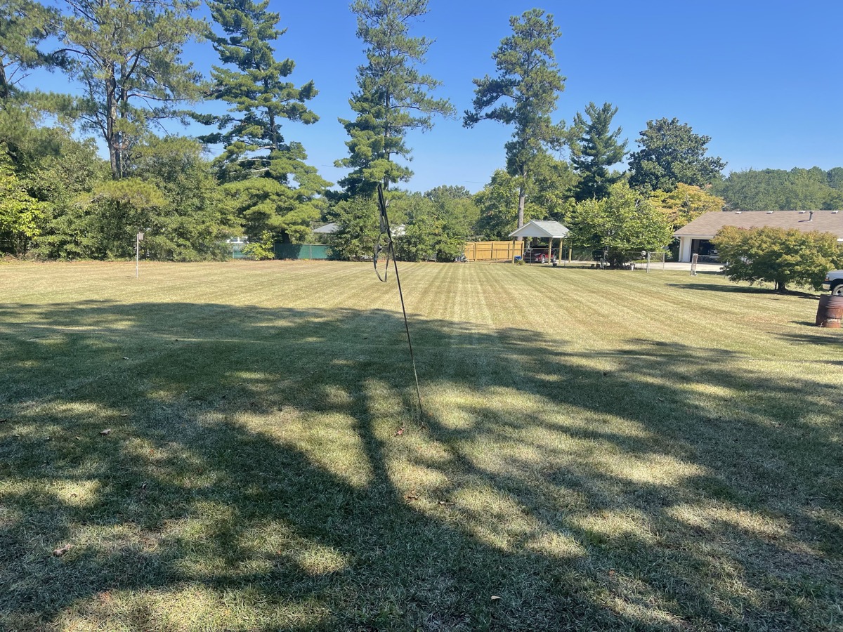 Lawn Mowing Service
