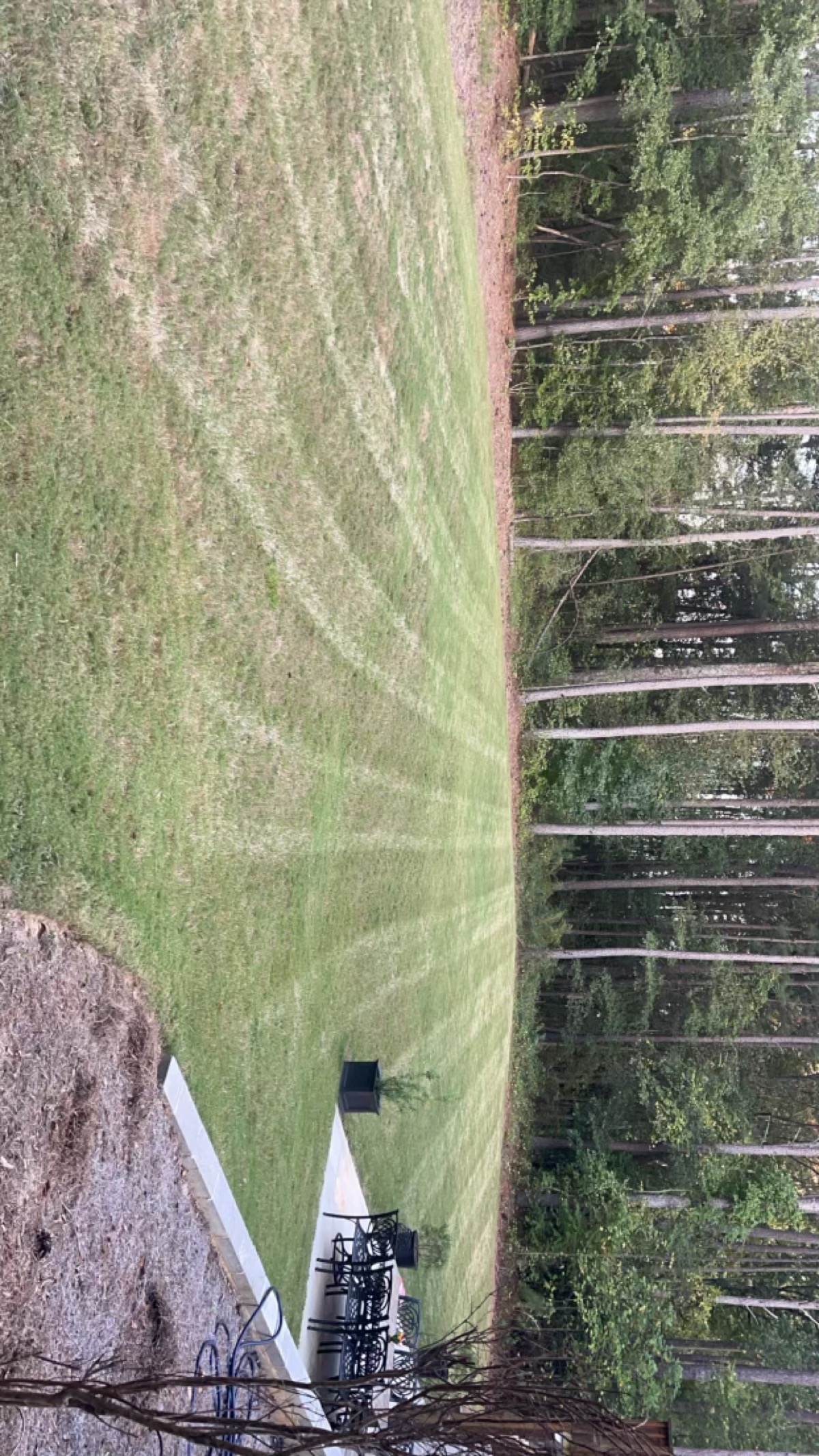 Quality Lawn Care