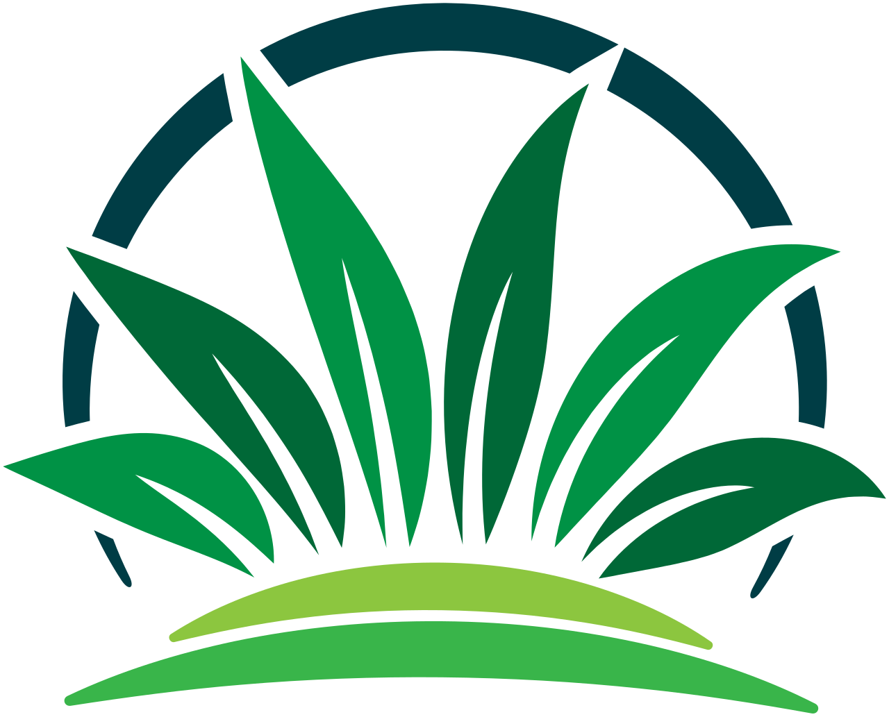 E & S Landscaping Pros